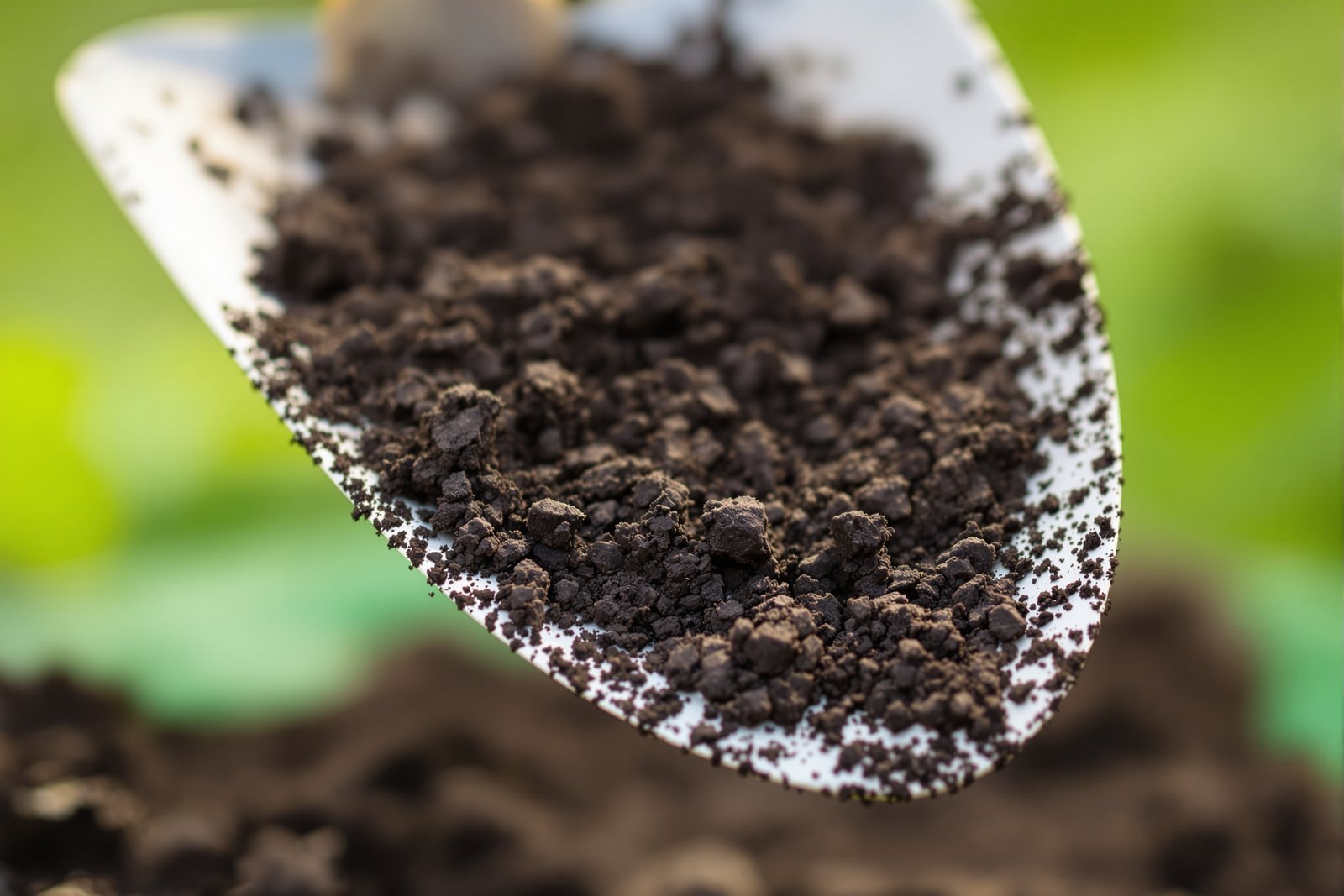 A garden trowel holding dark crumbly soil, with blurred green foliage behind